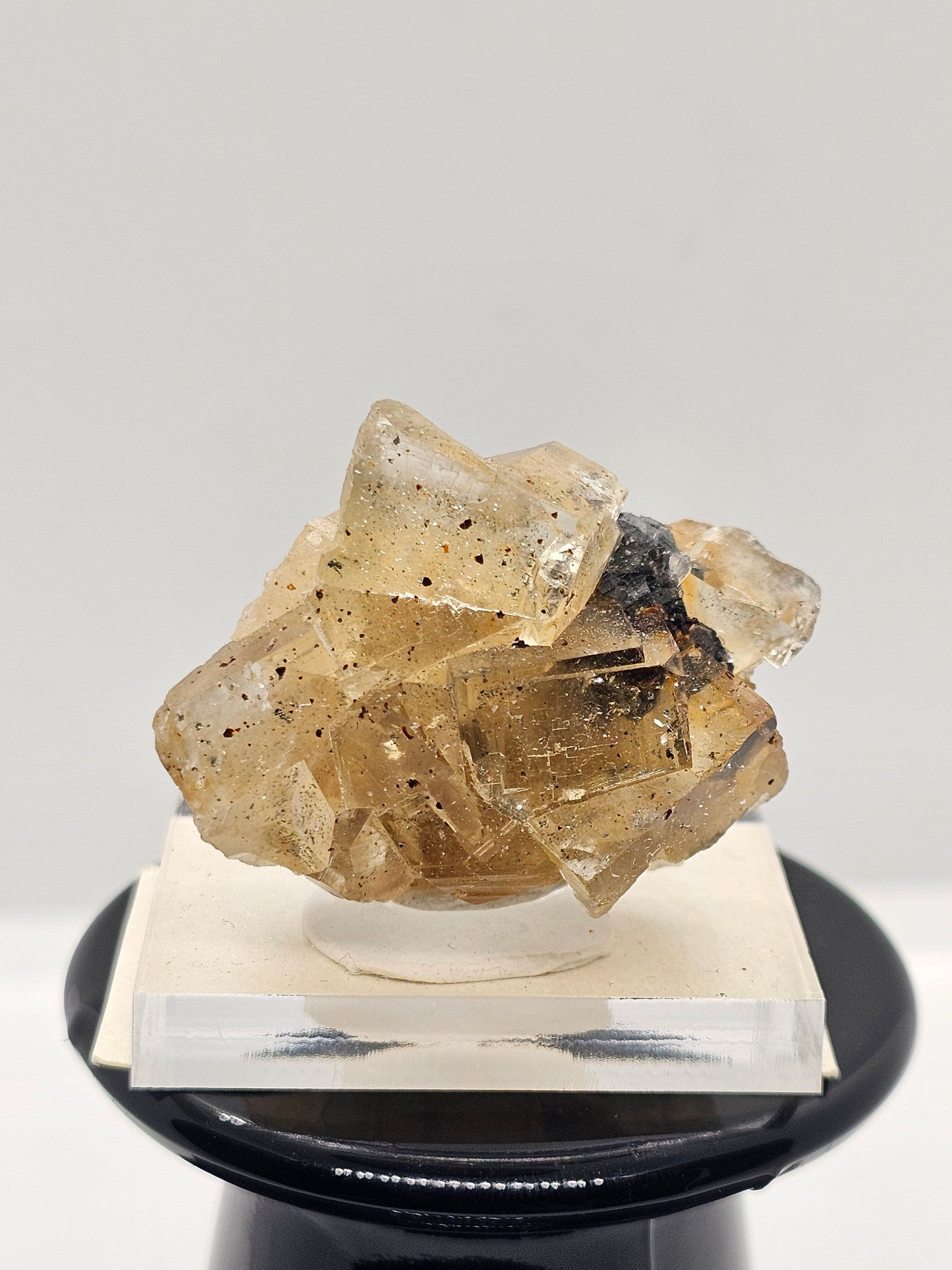 Fluorite with Galena