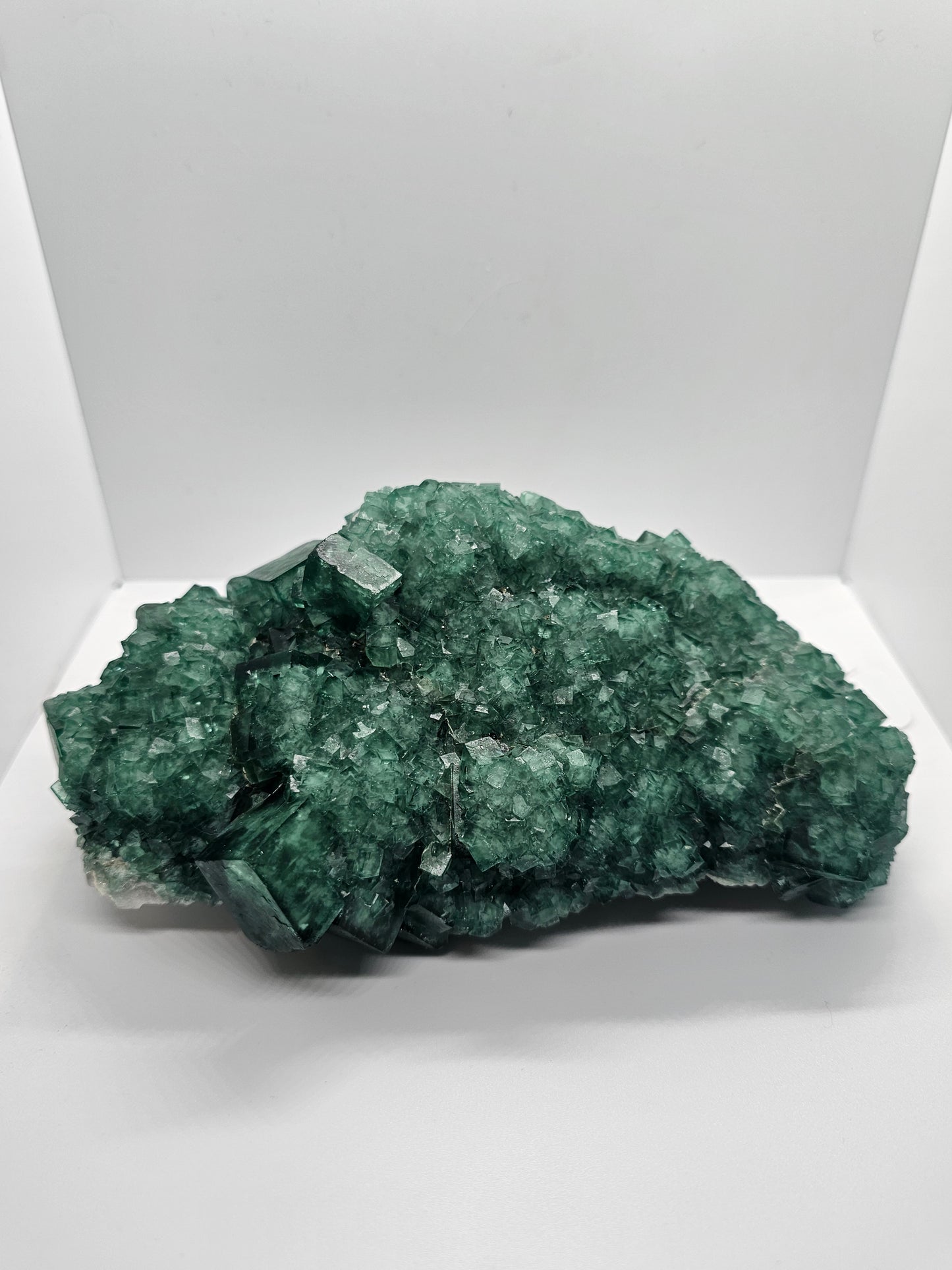 Fluorite XL