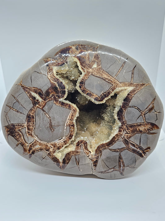 Septarian Nodule Geode XL