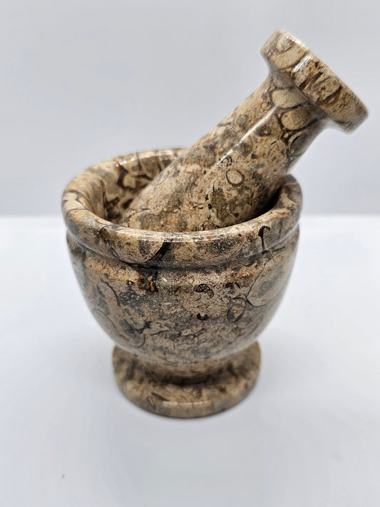 Mortar&Pestle Shell Fossil