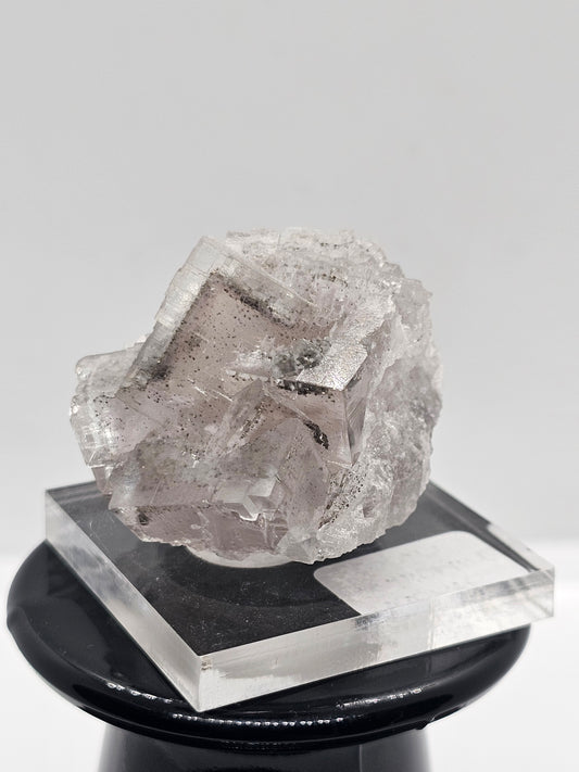 Fluorite with Pyrite