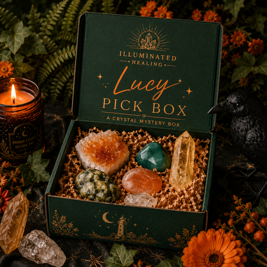 Lucy Picks Box