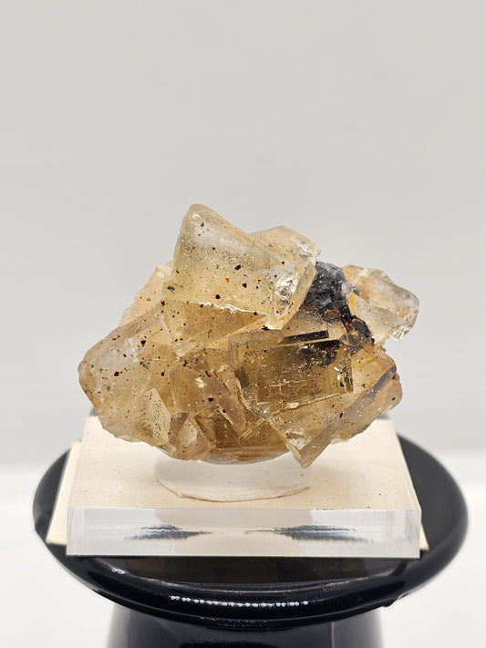 Fluorite with Galena